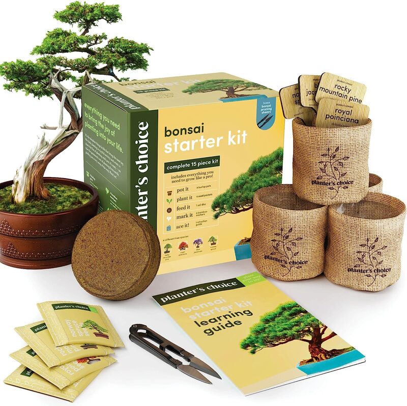 Planters Choice Bonsai Kit
