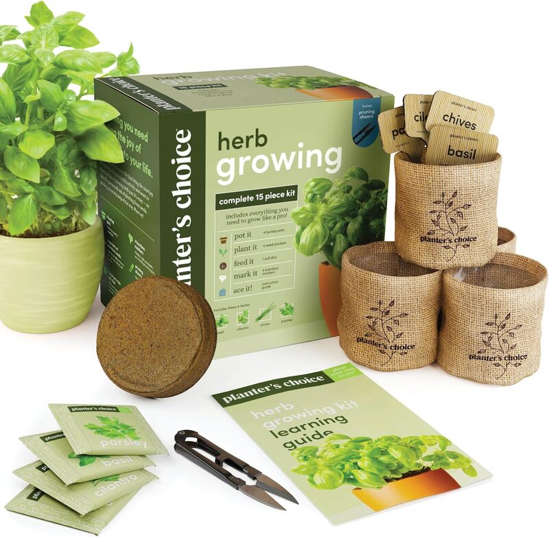 herb garden starter kit